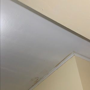 Meet your Posher, Jinette